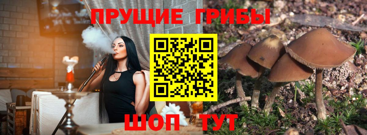 Псилоцибиновые грибы Magic Shrooms Ухта